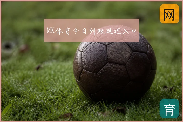 MK体育今日到账延迟入口